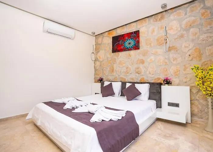Vip Kaş